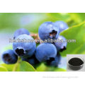 Bilberry extract anthocyanidins for sale